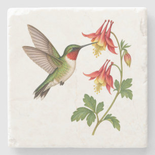 Porta-copo De Pedra Beija-flor se Alimentando nas Flores de Columbine