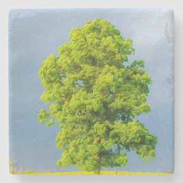 Porta-copo De Pedra Beleza na Tempestade