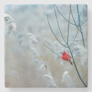 Porta-copo De Pedra Belíssimo Cardinal na Neve