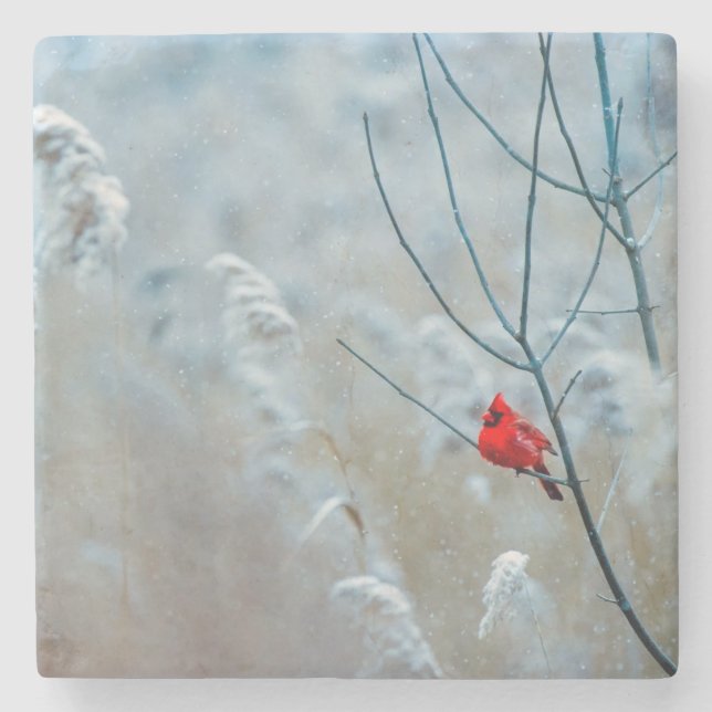 Porta-copo De Pedra Belíssimo Cardinal na Neve (Frente)
