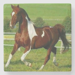 Porta-copo De Pedra Belo Cavalo