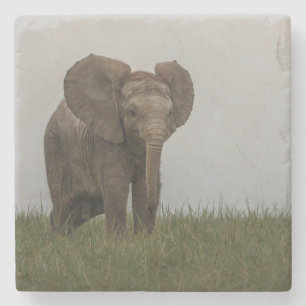 Porta-copo De Pedra Belo Elefante Africano Bush