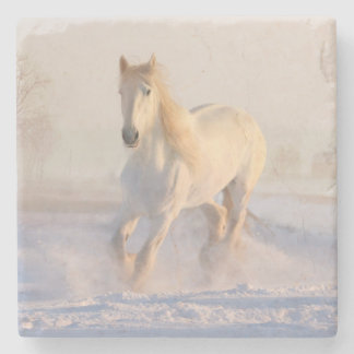 Porta-copo De Pedra Belo Estalão Branco Correndo Pela Neve