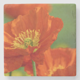 Porta-copo De Pedra Belo papa vermelho