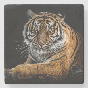 Porta-copo De Pedra Belo Tigre com Fundo Preto