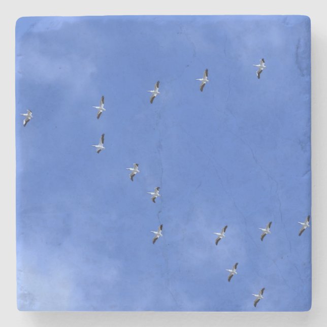 Porta-copo De Pedra Bird (Frente)