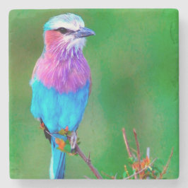 Porta-copo De Pedra Bird blue _babero