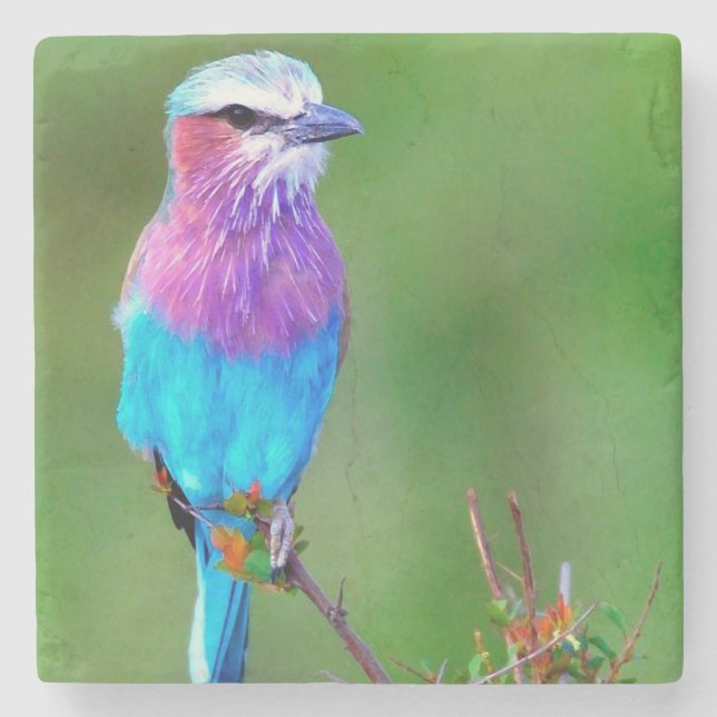 Porta-copo De Pedra Bird blue _babero (Frente)