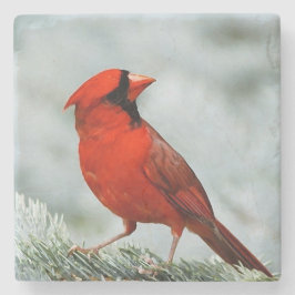 Porta-copo De Pedra Bird red _coaster