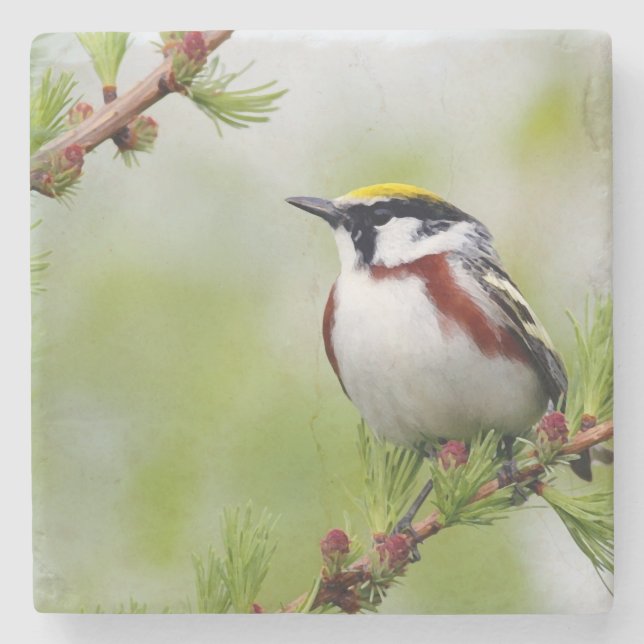 Porta-copo De Pedra Bird yellow _coaster (Frente)