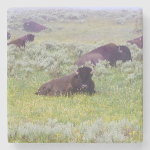 Porta-copo De Pedra Bison Amortecedor