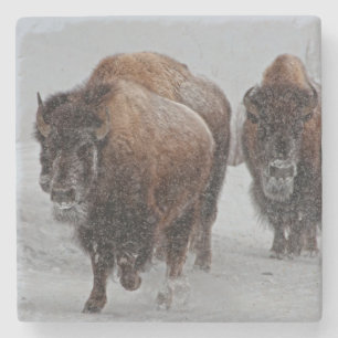 Porta-copo De Pedra Bisonte de Yellowstone