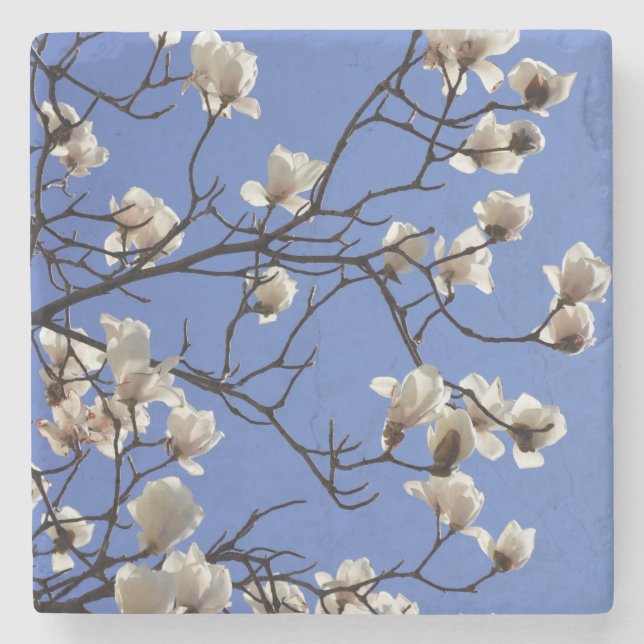 Porta-copo De Pedra Blooming Magnolias (Frente)