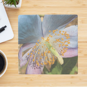 Porta-copo De Pedra Blue Poppy Bloom Floral