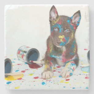 Porta-copo De Pedra Bobo Rouco Puppy entrou em Baldes Paint