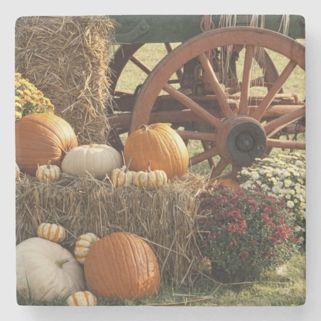 Porta-copo De Pedra Bombas De Outono E Tela De Mãe (Frente)