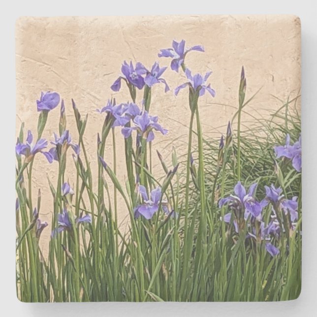 Porta-copo De Pedra Bonito Blue Irises Floral (Frente)