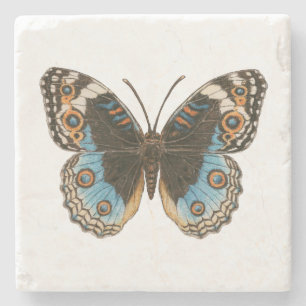 Porta-copo De Pedra Borboleta Azul Pansy