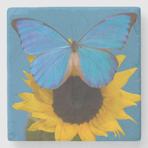 Porta-copo De Pedra Borboleta de girassol