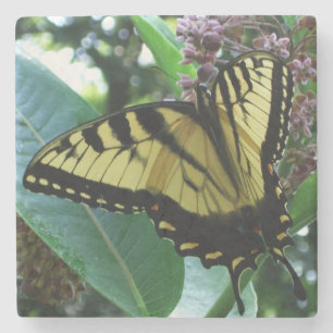Porta-copo De Pedra Borboleta I de Swallowtail em Milkweed em Shenando
