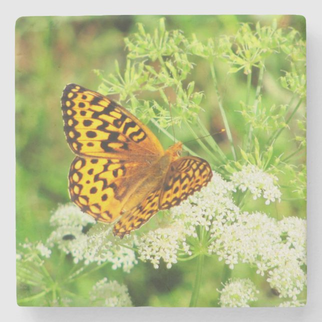 Porta-copo De Pedra Borboleta Laranja e Preta e Flores Brancas (Frente)