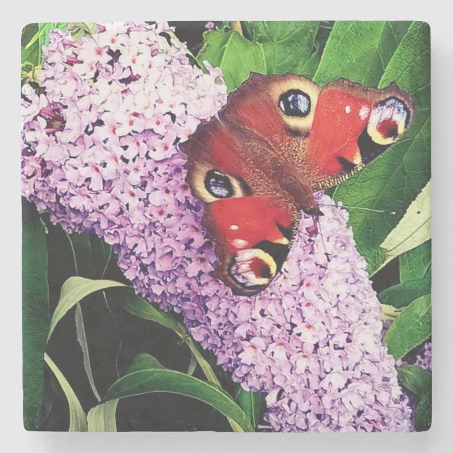 Porta-copo De Pedra Borboleta vermelha (Frente)