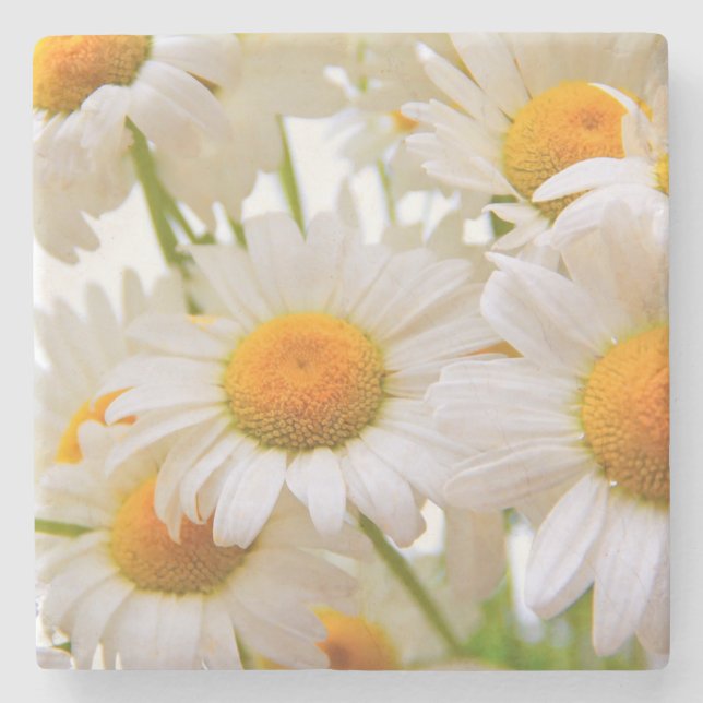 Porta-copo De Pedra Bright Summer Daisies Flowers (Frente)