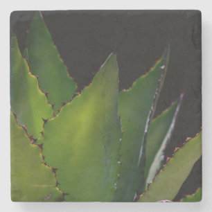 Porta-copo De Pedra Brilho de Agave