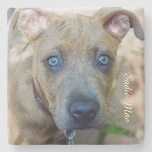 Porta-copo De Pedra Brindle Pit Bull Puppy por Shirley Taylor