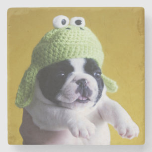Porta-copo De Pedra Buldogue Francês