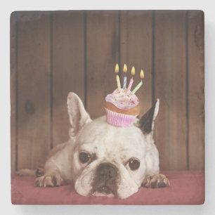 Porta-copo De Pedra Buldogue francês com cupcake do aniversário