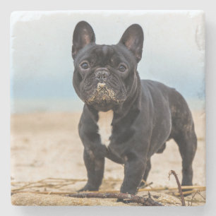 Porta-copo De Pedra Bulldog Francês Brincando na Areia