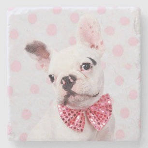 Porta-copo De Pedra Bulldog Francês com Arco