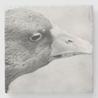 Porta-copo De Pedra BW Goose
