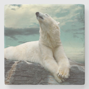 Porta-copo De Pedra Caçador branco do urso polar na rocha
