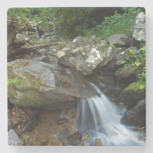 Porta-copo De Pedra Cachoeira Lower Dark Hollow, Shenandoah