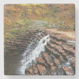 Porta-copo De Pedra Cachoeira no Laurel Hill State Park II