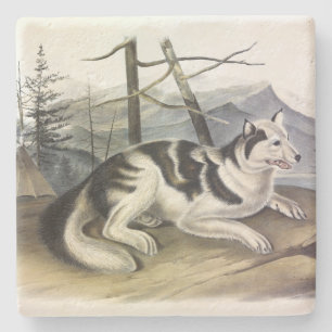 Porta-copo De Pedra Cachorro-índio (Cachorro do Rio Mackenzie) de Audu