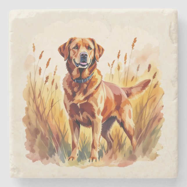 Porta-copo De Pedra Cachorro Labrador Retriever Fox Red (Frente)