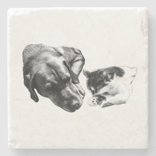 Porta-copo De Pedra Cachorro monocromático e Porta copos de gatos