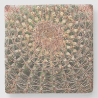Cacto de barril no deserto, Arizona, porta copos q