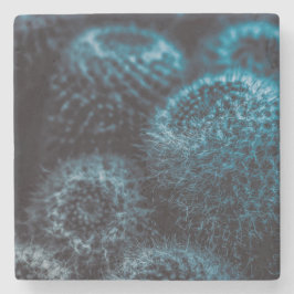 Porta-copo De Pedra Cacto Escuro