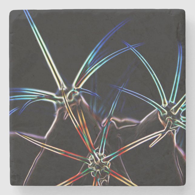 Porta-copo De Pedra Cactus 1 (Frente)