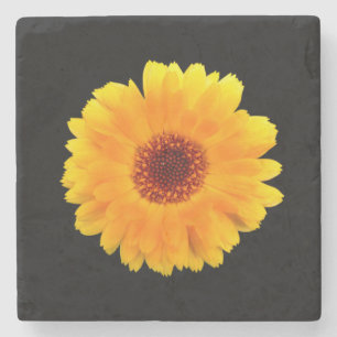 Porta-copo De Pedra Calendula Officinalis