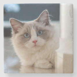 Porta-copo De Pedra Calico