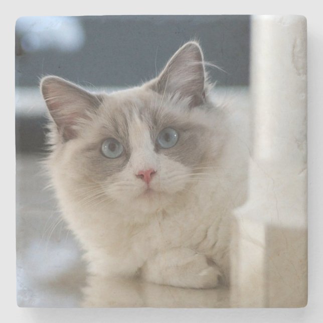 Porta-copo De Pedra Calico (Frente)