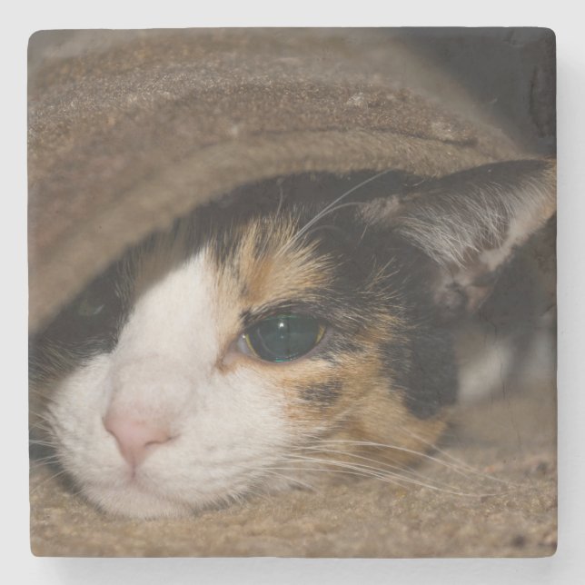 Porta-copo De Pedra Calico Taco (Frente)