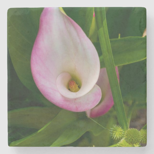 Porta-copo De Pedra Calla Roll (Frente)
