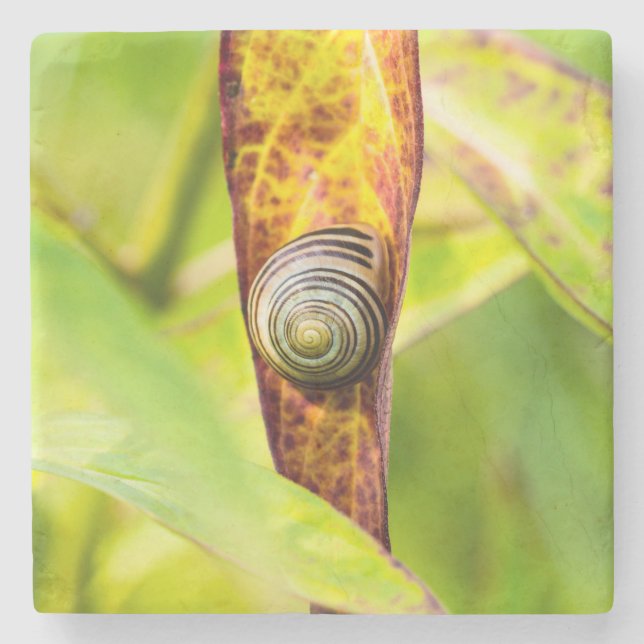 Porta-copo De Pedra calma (Frente)