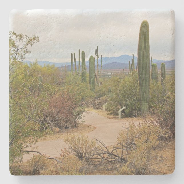 Porta-copo De Pedra Caminho caminhando no deserto na Arizona, porta co (Frente)